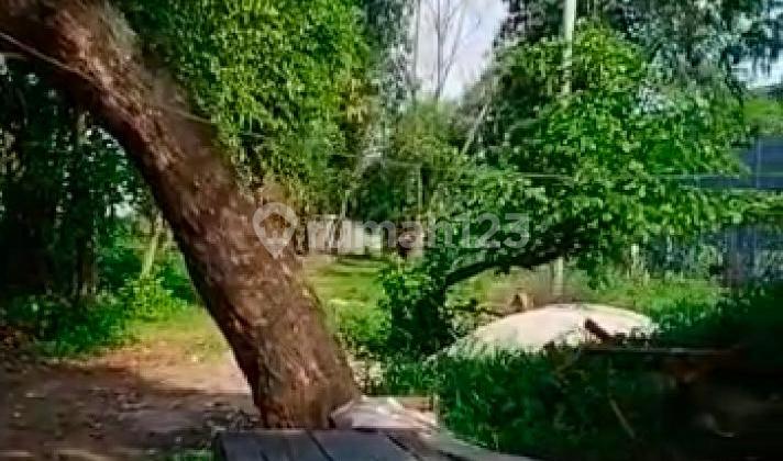 Tanah Murah Lokasi Strategis di Pinggir Jl. Hasyim Ashari Cipondoh Tangerang