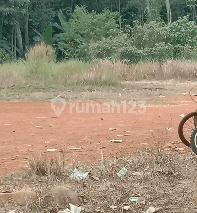 Lahan luas dan strategis cocok berkebun di Jonggol bogor 1