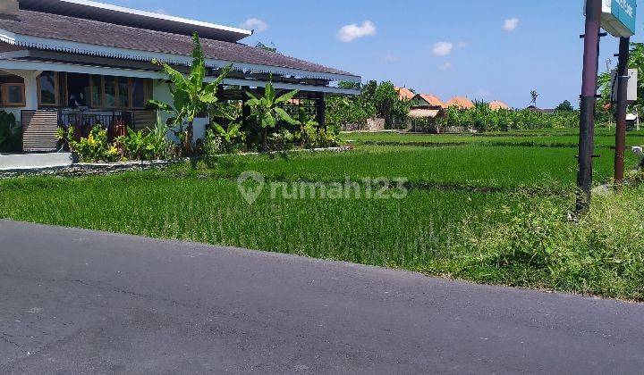 Tanah Super Premium Harga Super Murah Jalan Utama Umalas 1