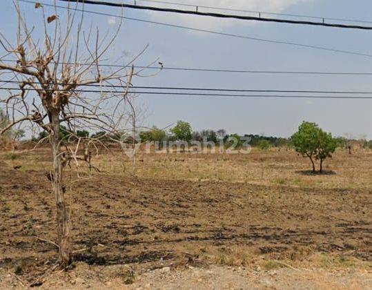 Tanah Kavling Industri Desa Kembang Bahu Mantup - Lamongan 1