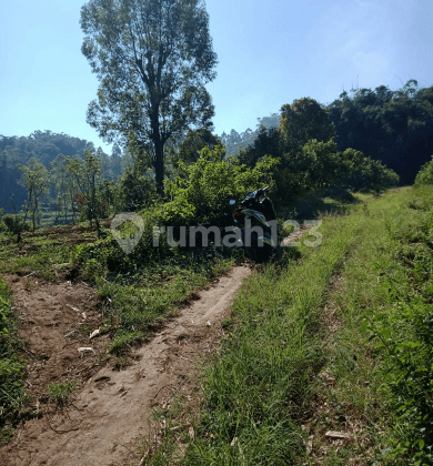 Tanah luas dan murah view pegununungan di Pujon Malang 2