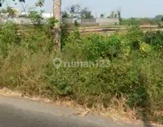 Lahan Plot Industri di Perak Jombang 1