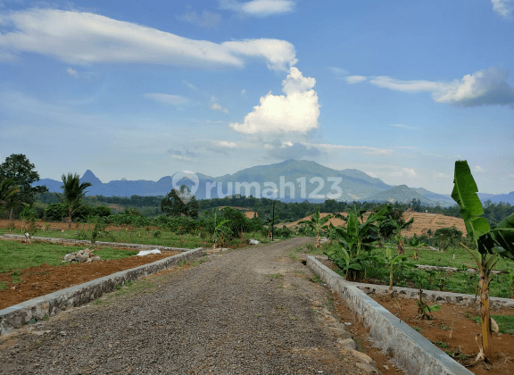 Cepat Tanah Murah Pinggir Jalan Free Biaya SHM 2