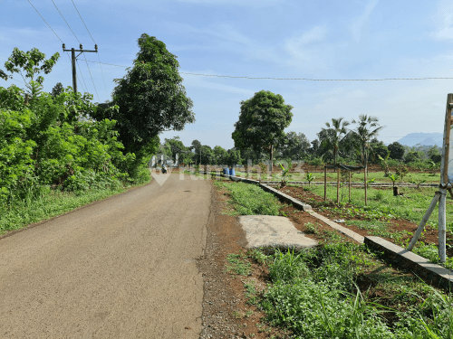 Cepat Tanah Murah Pinggir Jalan Free Biaya SHM 1