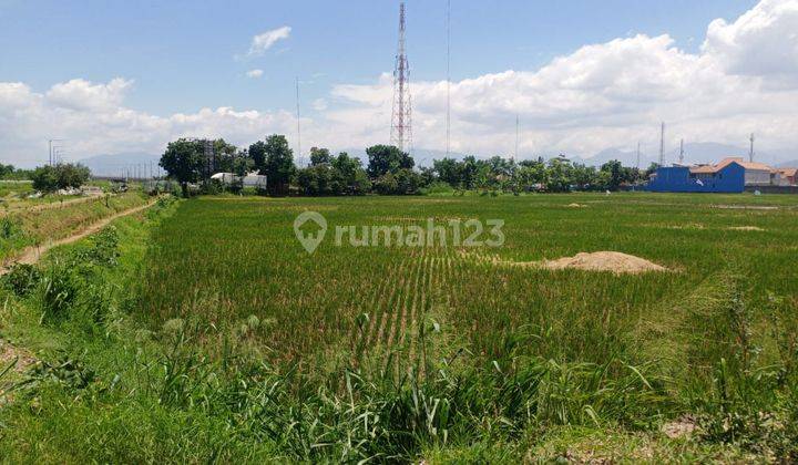 Tanah di Gedebage Kotamadya Mainroad Zona Kuning cocok untuk Perumahan 1