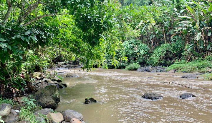 LARGE LAND LOS SUNGAI BUWIT TABANAN 1