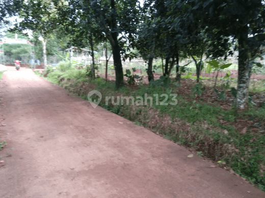 lahan kebun pinggir jalan 2