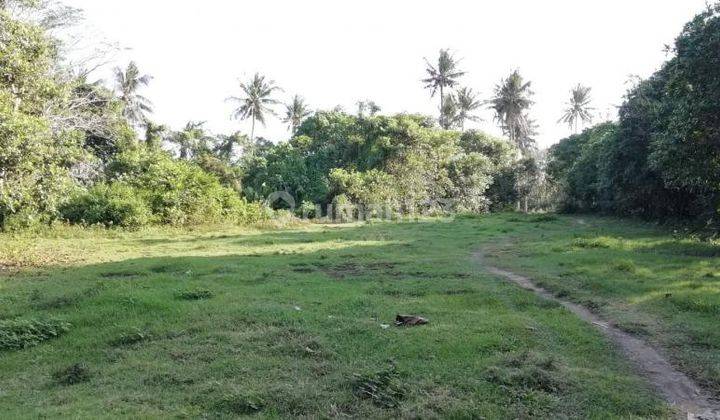 Land on the edge of the Pasut Tabanan estuary, Bali 2