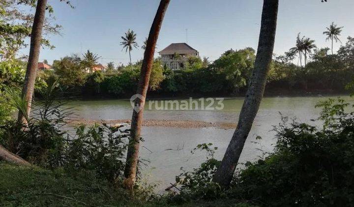 Land on the edge of the Pasut Tabanan estuary, Bali 1