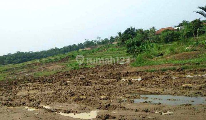 Tanah Untuk Perumahan Cikuda Parung Panjang Bogor Jawa Barat 2