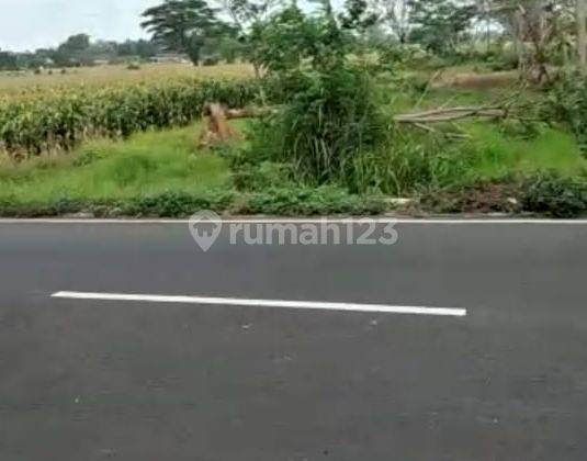 Tanah Plot Industri Di Sukorejo Pasuruan 2