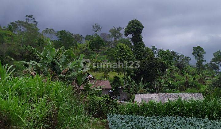 Tanah View Bukit Lembah Dan Hawa Sejuk Di Bedugul 1