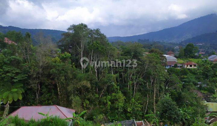 Tanah cantik di bedugul cocok villa 2