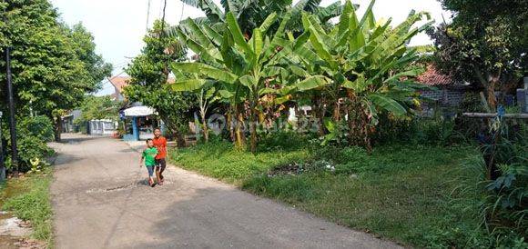 Tanah dibelakang perumahan Emerald Land  Cibinong strategis tidak banjir. 2