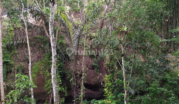 The jungle view of the los sungai valley is beautiful 2