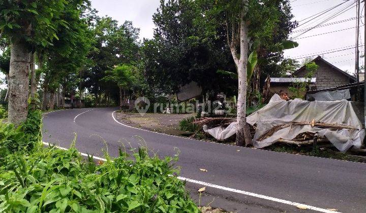 Tanah jalan utama tirta empul tampak siring 2