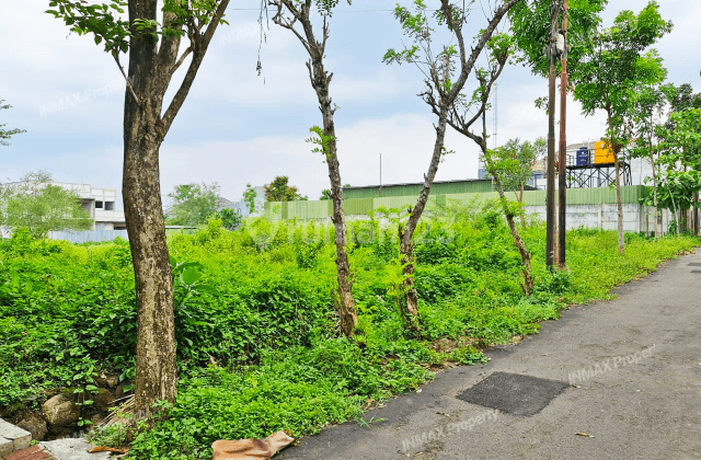 TANAH KAVLING LUAS HARGA NEGO SAMPAI DEAL DI BUKIT DIENG MALANG 1