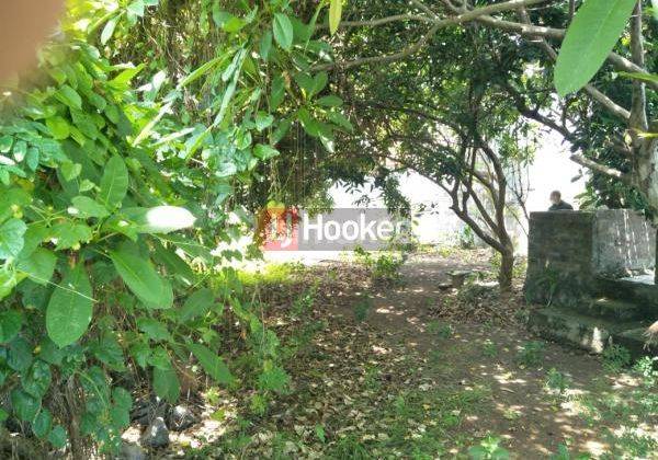 Tanah Cocok Untuk Rumah Tinggal Di Jll. Gandapura Kesiman Kertalangu 1