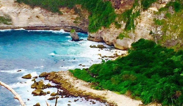 LOSS CLIFF LAND IN SEKARTAJI NUSA PENIDA 2