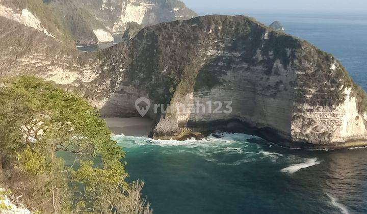 LAND ON THE CLIFF FRONT OF BLOOMING FLOWERS ON NUSA PENIDA ISLAND 1