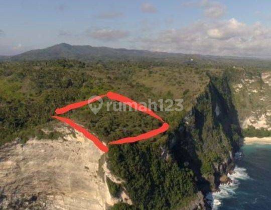 LAND ON THE CLIFF FRONT OF BLOOMING FLOWERS ON NUSA PENIDA ISLAND 2