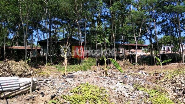 Tanah Dr. Wahidin Semarang 5161 2