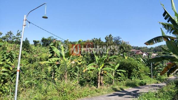 Jual Tanah Sadeng Gunung Pati Semarang 5162 1