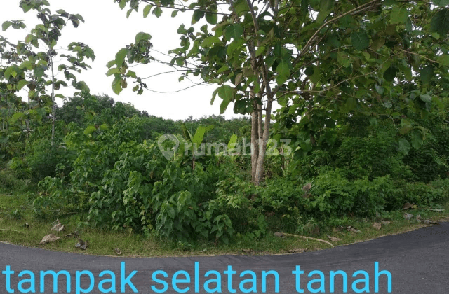 Tanah Jembrana Tegal Badeng 2