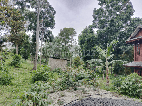 Tanah Siap Bangun ,Cocok untuk Cluster atau Wisata 1