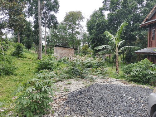 Tanah Siap Bangun ,Cocok untuk Cluster atau Wisata 2