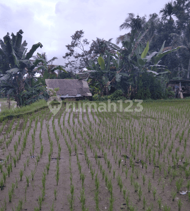 Tanah view keren lingkungan villa 2