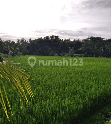 Tanah di lingkungan resort view cantik 2