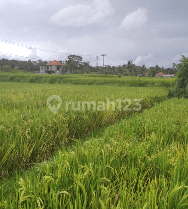 Tanah siap bangun cocok vila lingkungan tenang 1