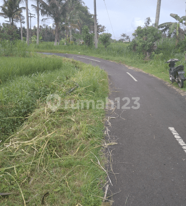 Tanah siap bangun cocok vila lingkungan tenang 2