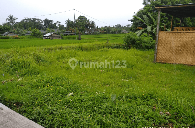 Tanah Murah BUC Lokasi Kuwum Marga Tabanan 1