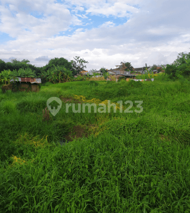 Tanah view sawah di canggu cocok villa dekat ke pantai 1