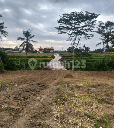 Tanah kavling view keren di ubud lingkungan vila 2