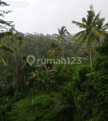 Tanah view jungle abadi 1