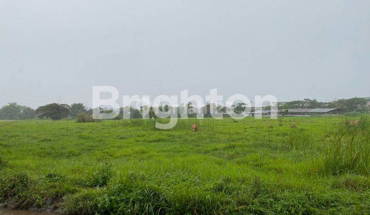 TANAH KOMERSIAL AREA PASURUAN 2