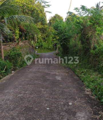 Tanah view sawah terasering cantik harga murah di jalan utama 1