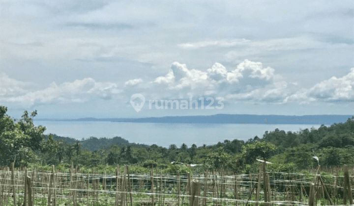 tanah view laut di tanggamus 1