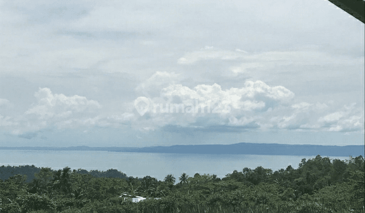 tanah view laut di tanggamus 2