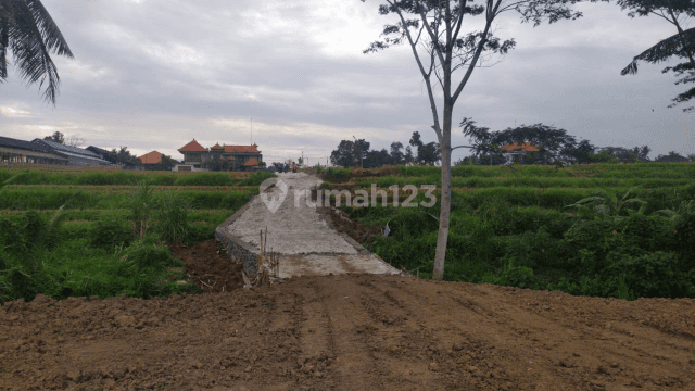 Tanah kavling view indah di ubud cocok villa rental  1