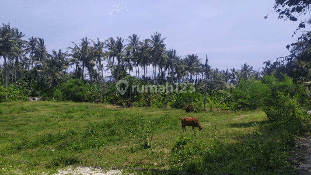 Saba beach view land suitable for villa / guest house / homestay 1