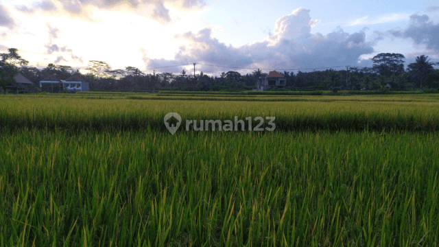 Tanah di jalan utama harga murah 2