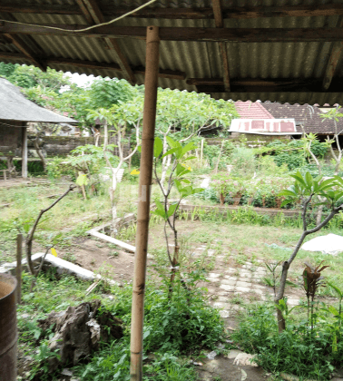 Tanah di central ubud cocok bisnis 1