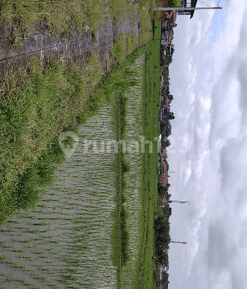 Tanah full view sawah keren di ubud 2