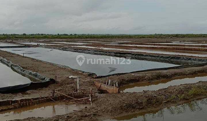 Lahan Murah Cocok Untuk Tambak 1