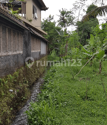 Tanah view jungle sawah lembah cocok villa mewah 1