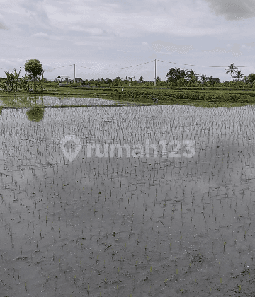 Tanah di jalan utama view sawah cantik cocok bisnis 1